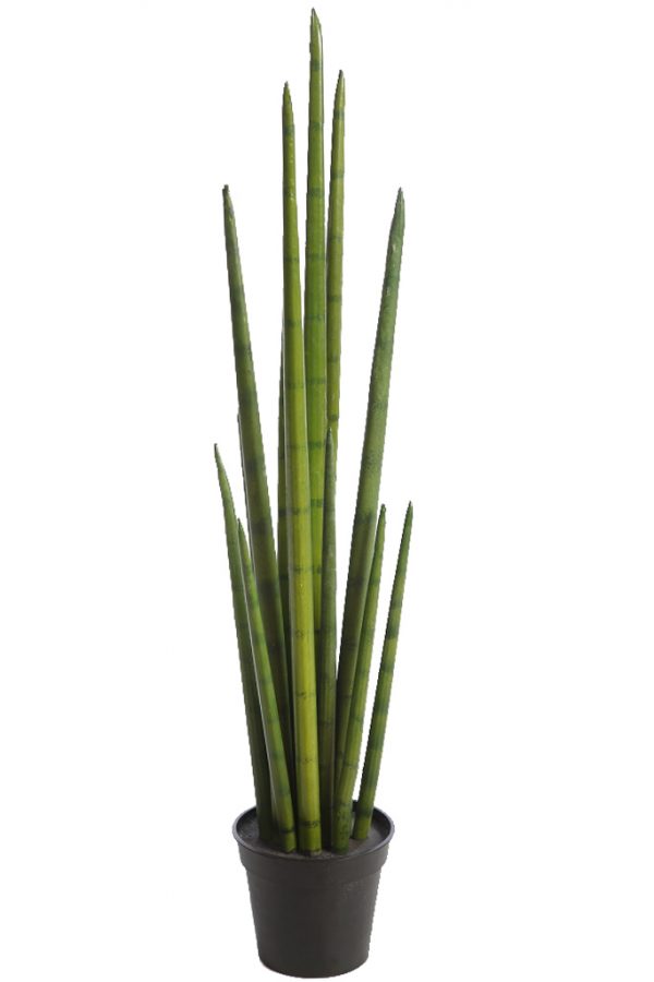 Cactus-Sanseviera-Cylindrica-Aritificial-75-cm Cactus Sanseviera Cylindrica Aritificial 75cm - Imagen 1