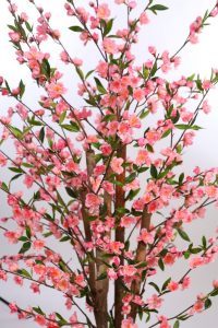 Cerezo Artificial En Maceta 150cm - Imagen 2