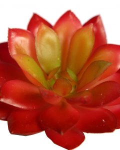 Crasa Echeveria Mini 8cm Artificial - Imagen 2