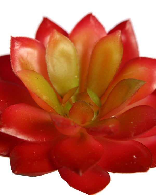 Crasa Echeveria Mini 8cm Artificial - Imagen 2