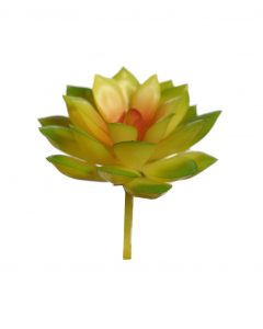 Crasa Echeveria Mini 8cm Artificial - Imagen 3