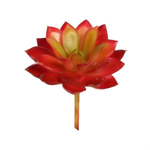 Crasa Echeveria Mini 8cm Artificial