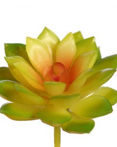 Crasa Echeveria Mini 8cm Artificial - Imagen 4