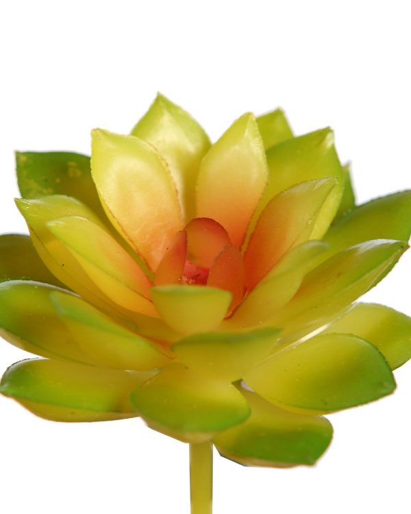 Crasa Echeveria Mini 8cm Artificial - Imagen 4