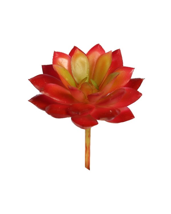 Crasa-Echeveria-Mini-8cm-Artificial Crasa Echeveria Mini 8cm Artificial - Imagen 1