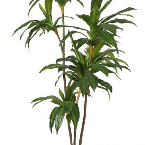 Dracena Artificial Con Maceta 175cm Ancho 70cm