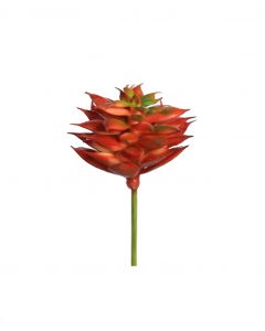 ECHEVERIA MINI ARTIFICIAL 7CM