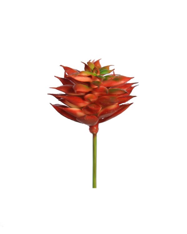 Echeveria-Mini-Artificial-7-cm ECHEVERIA MINI ARTIFICIAL 7CM - Imagen 1