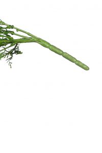 Enredadera Artificial Colgante 90cm - Imagen 3