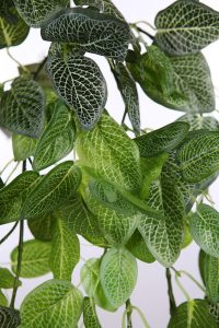 FITONIA COLGANTE ARTIFICIAL 130CM - Imagen 2