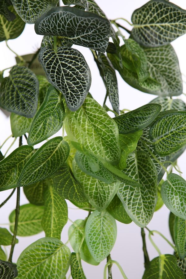 FITONIA COLGANTE ARTIFICIAL 130CM - Imagen 2