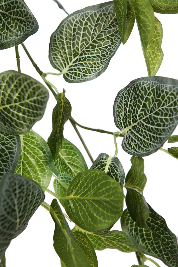 FITONIA COLGANTE ARTIFICIAL 60CM - Imagen 2