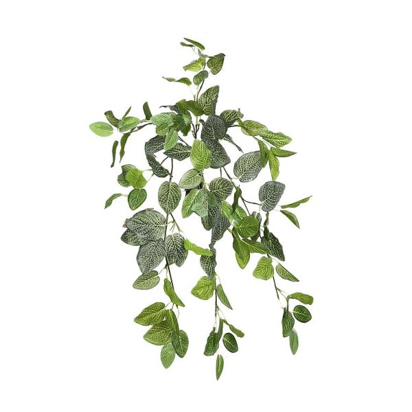 FITONIA COLGANTE ARTIFICIAL 60CM - Imagen 1