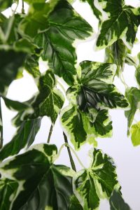 HIEDRA ARTIFICIAL COLGANTE 80 CM - Imagen 2