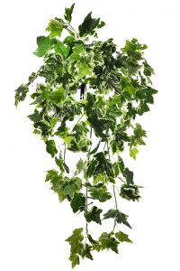 HIEDRA ARTIFICIAL COLGANTE 80 CM