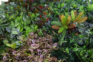 JARDIN VERTICAL ARTIFICIAL 1x1M - Imagen 2