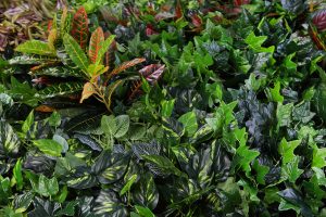 JARDIN VERTICAL ARTIFICIAL 1x1M - Imagen 3