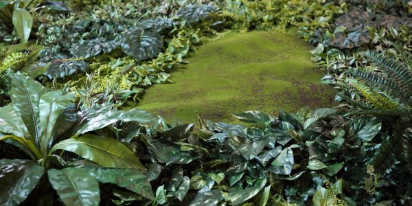 JARDIN VERTICAL ARTIFICIAL MUSGO 100X100CM - Imagen 3