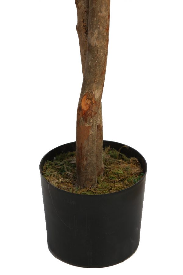 Limonero Artificial En Maceta 180cm - Imagen 2