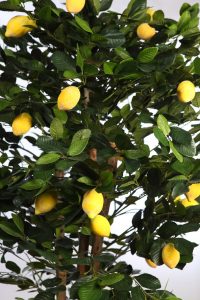 Limonero Artificial En Maceta 180cm - Imagen 3