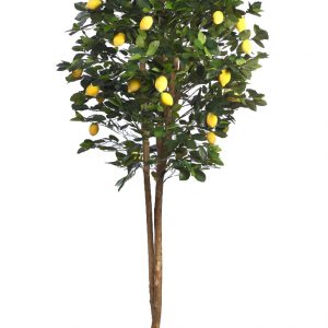 Limonero Artificial En Maceta 180cm