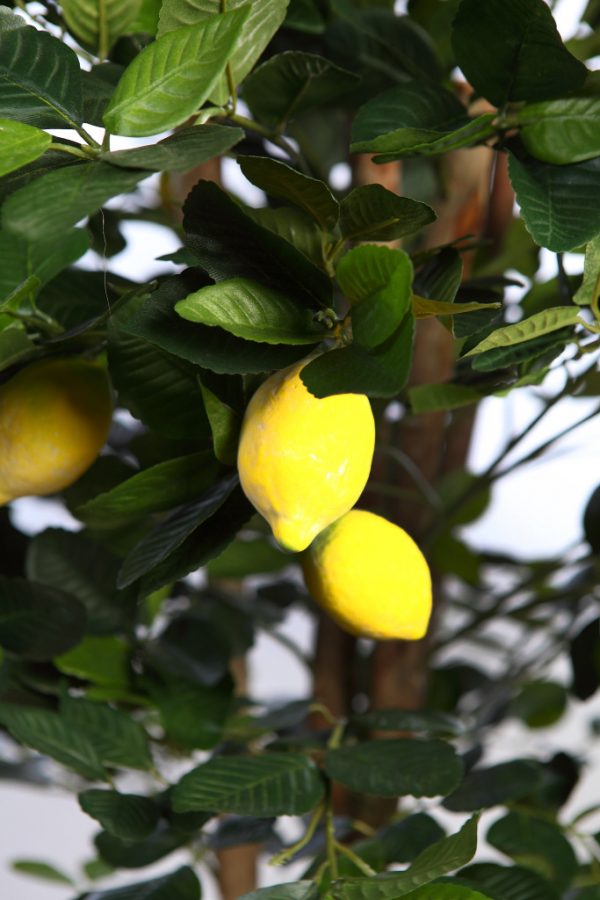 Limonero Artificial En Maceta 180cm - Imagen 4