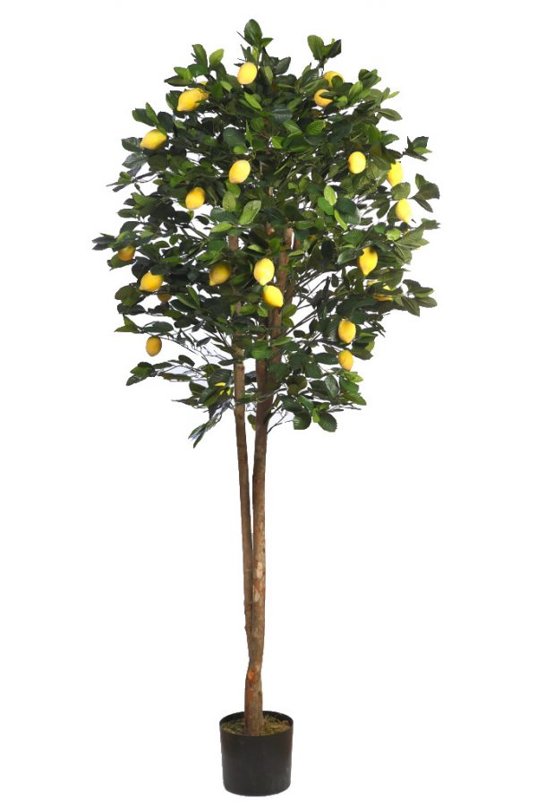 Limonero-Artificial-En-Maceta-180-cm Limonero Artificial En Maceta 180cm - Imagen 1