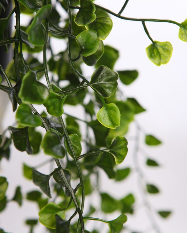 Maceta-Colgante-Dichondra-Verde-49-cm-2 MACETA COLGANTE DICHONDRA VERDE 49CM - Imagen 2