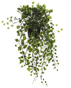 MACETA COLGANTE DICHONDRA VERDE 49CM