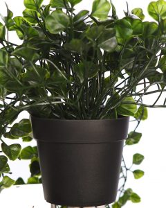 MACETA COLGANTE DICHONDRA VERDE 49CM - Imagen 3