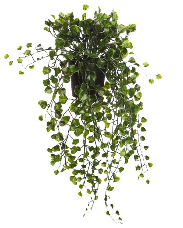 Maceta-Colgante-Dichondra-Verde-49-cm MACETA COLGANTE DICHONDRA VERDE 49CM - Imagen 1