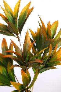 MATA AGAVE ARTIFICIAL 32CM - Imagen 2