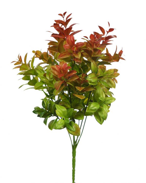 MATA DE EUCALIPTO 34 CM - Imagen 1