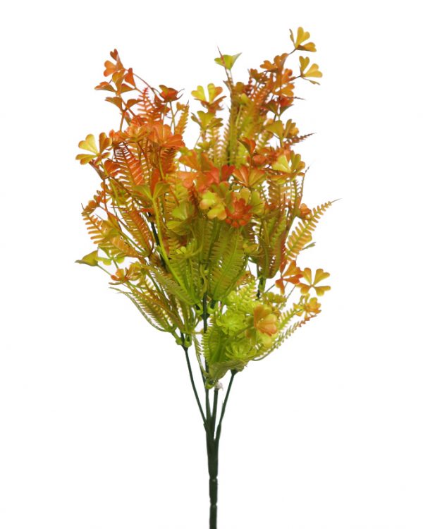 Mata Mini Hoja Helechosa 35cm - Imagen 3