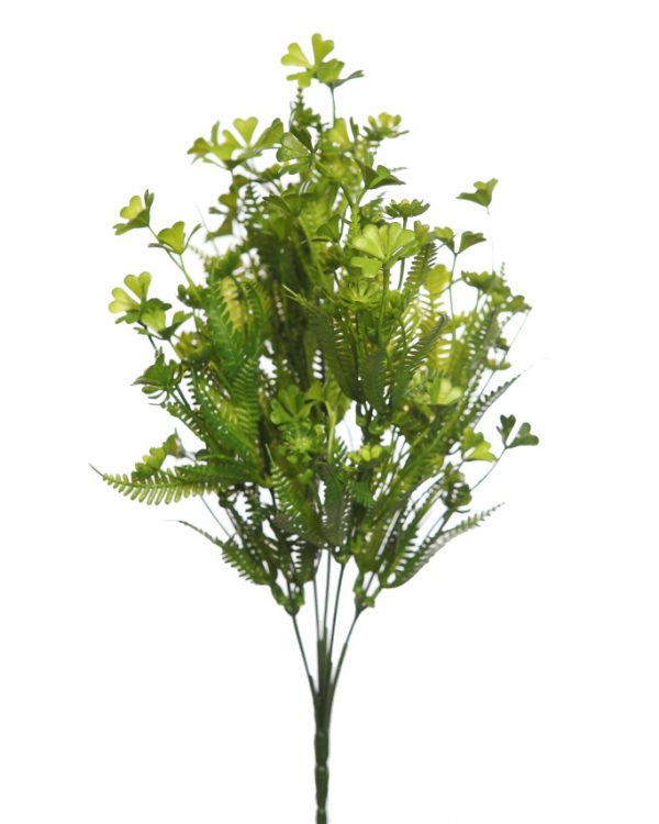 Mata-Mini-Hoja-Helechosa-35-cm-verde Mata Mini Hoja Helechosa 35cm - Imagen 1