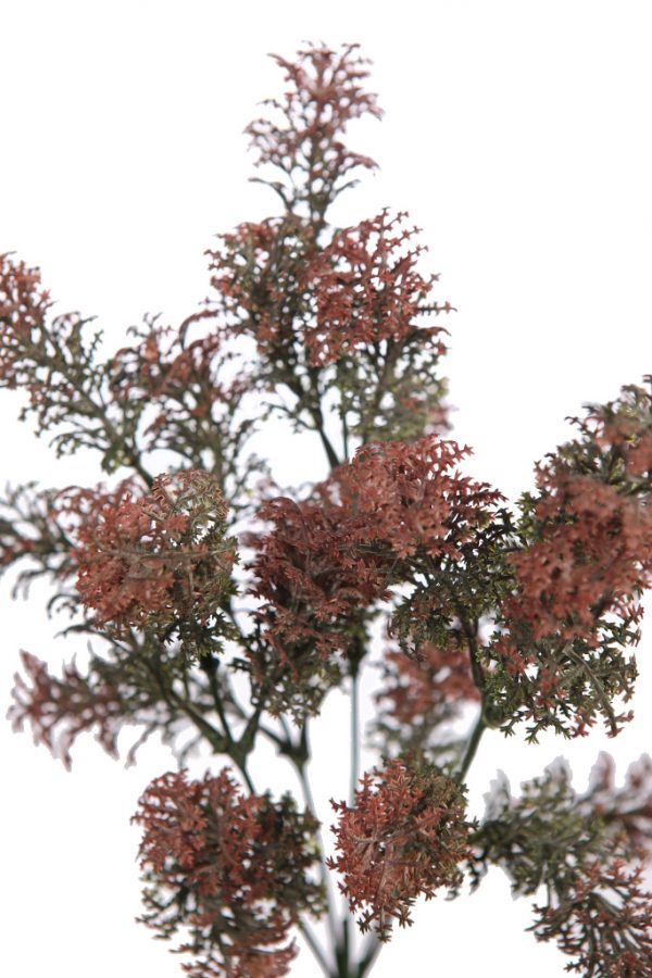 MATA SILVESTRE 30 CM - Imagen 2