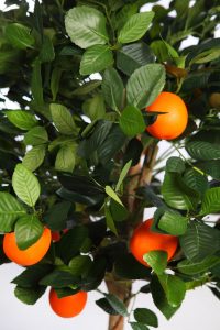 Naranjo Artificial En Maceta 150cm - Imagen 2