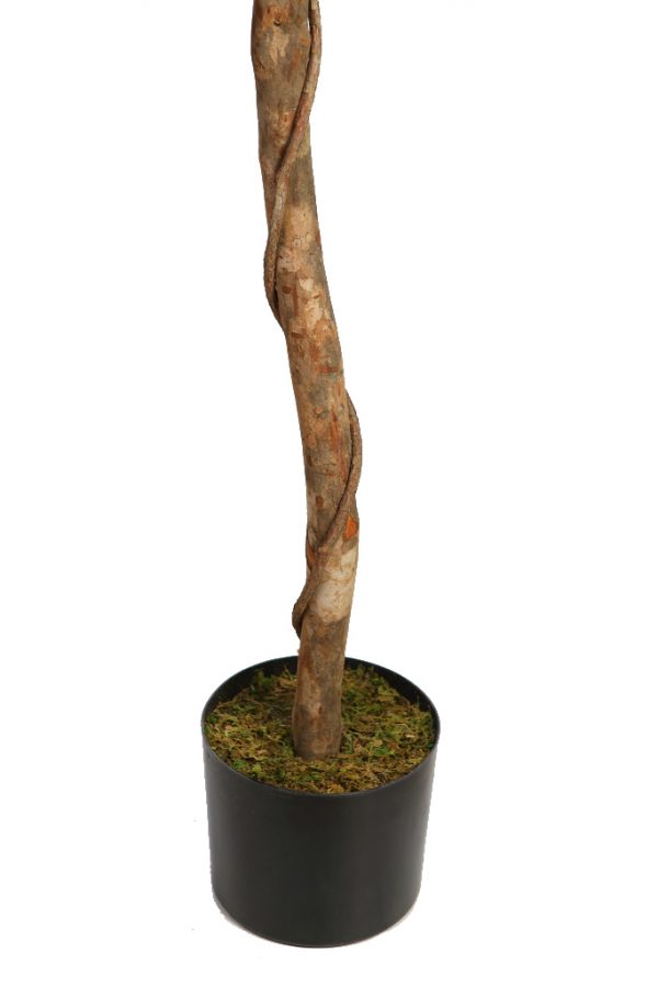 Naranjo Artificial En Maceta 150cm - Imagen 4