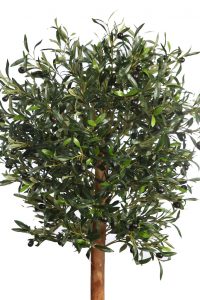 Olivo Artificial 170cm - Imagen 2