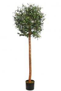 Olivo Artificial 170cm