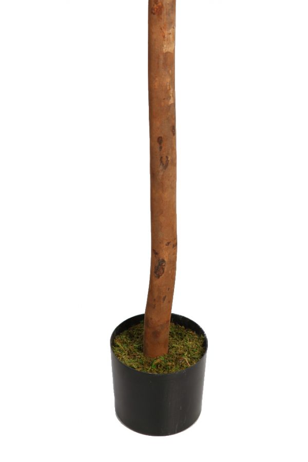Olivo Artificial 170cm - Imagen 4