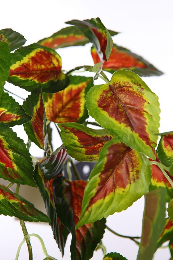 Planta-Coleo-Colgante-Artificial-90-cm-2 PLANTA COLEO COLGANTE ARTIFICIAL 90CM - Imagen 2
