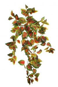 PLANTA COLEO COLGANTE ARTIFICIAL 90CM