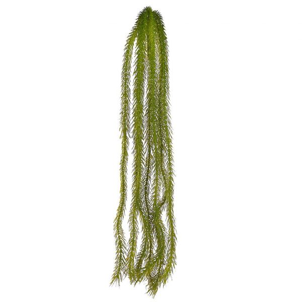 Planta-Colgante-Sedum-60-cm Planta Colgante Sedum 60cm - Imagen 1