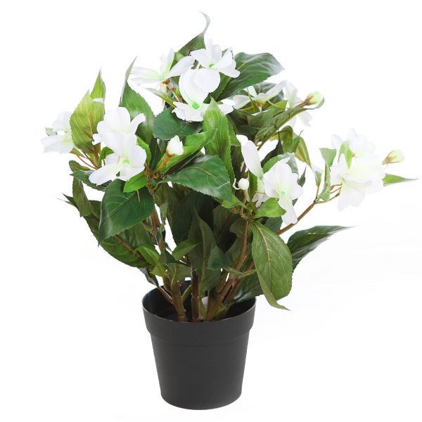 Planta Impatients En Maceta 30cm - Imagen 2