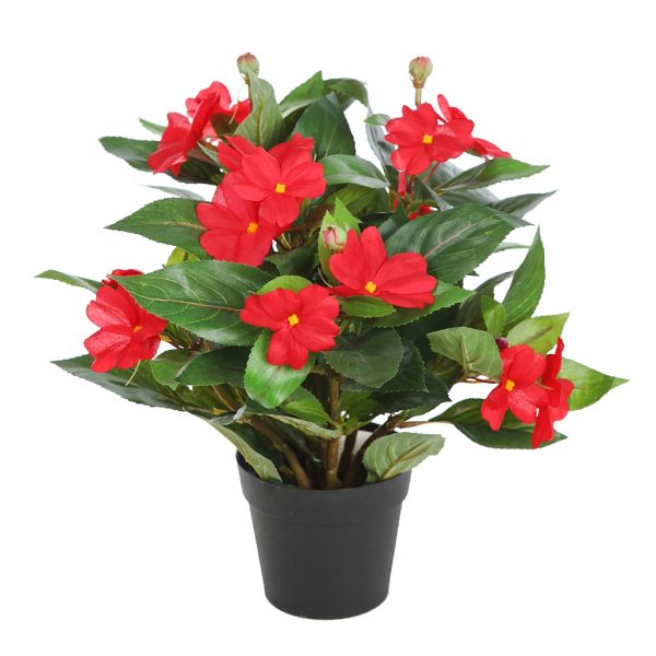 Planta-Impatients-En-Maceta-30-cm-rojo Planta Impatients En Maceta 30cm - Imagen 1