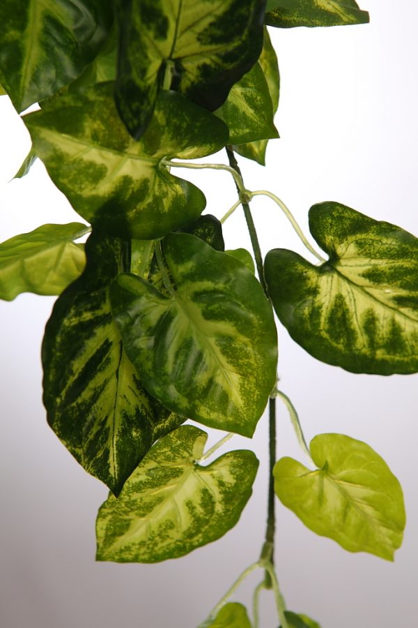 Planta-Singonio-Artificial-Colgante-60-cm-2 PLANTA SINGONIO ARTIFICIAL COLGANTE 60CM - Imagen 2