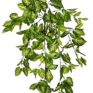 PLANTA SINGONIO COLGANTE 80CM