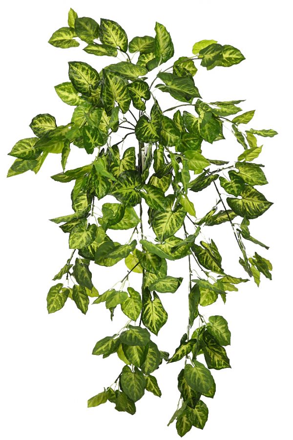 Planta-Singonio-Colgante-80-cm PLANTA SINGONIO COLGANTE 80CM - Imagen 1