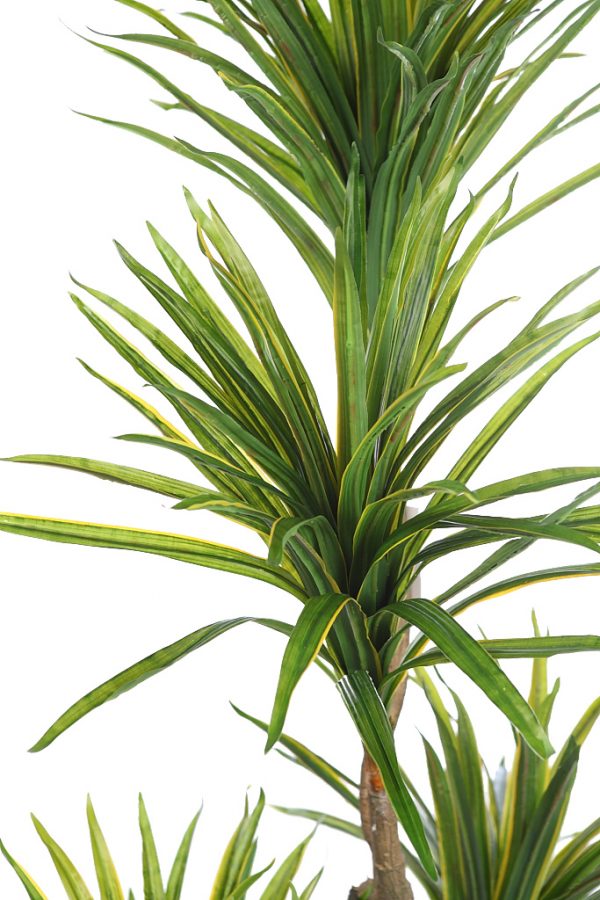 Yuca-Artificial-En-Maceta-185-cm-Ancho-80-cm-2 Yuca Artificial En Maceta 185cm Ancho 80cm - Imagen 2